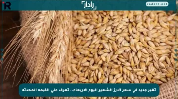 تغير جديد في سعر الأرز الشعير اليوم الأربعاء.. تعرف على القيمة المحدثة